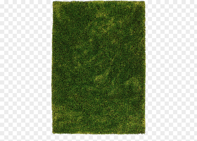Carpet Pile Color Green Anthracite PNG