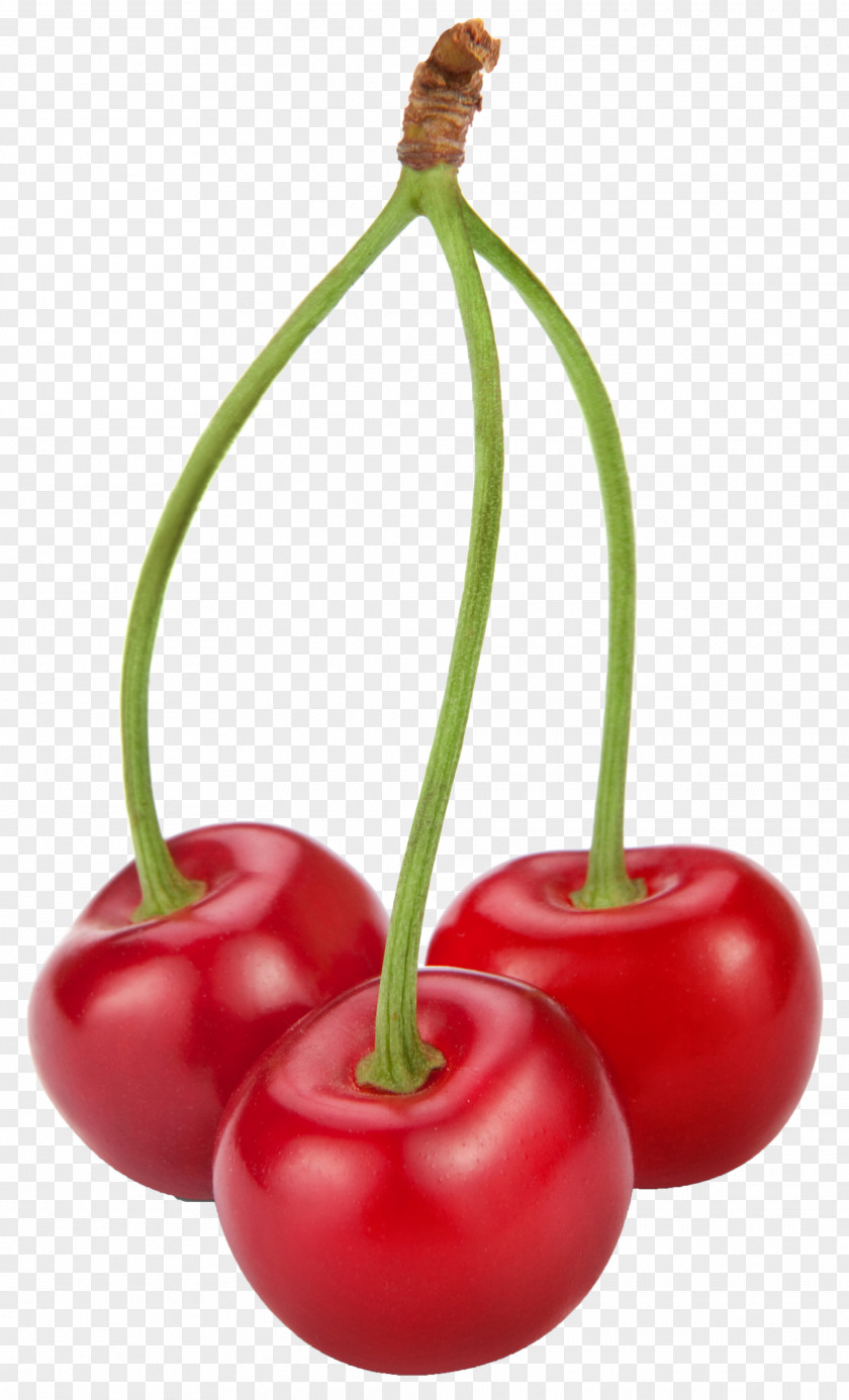 Cherries Clipart Food Cherry Fruit Clip Art PNG