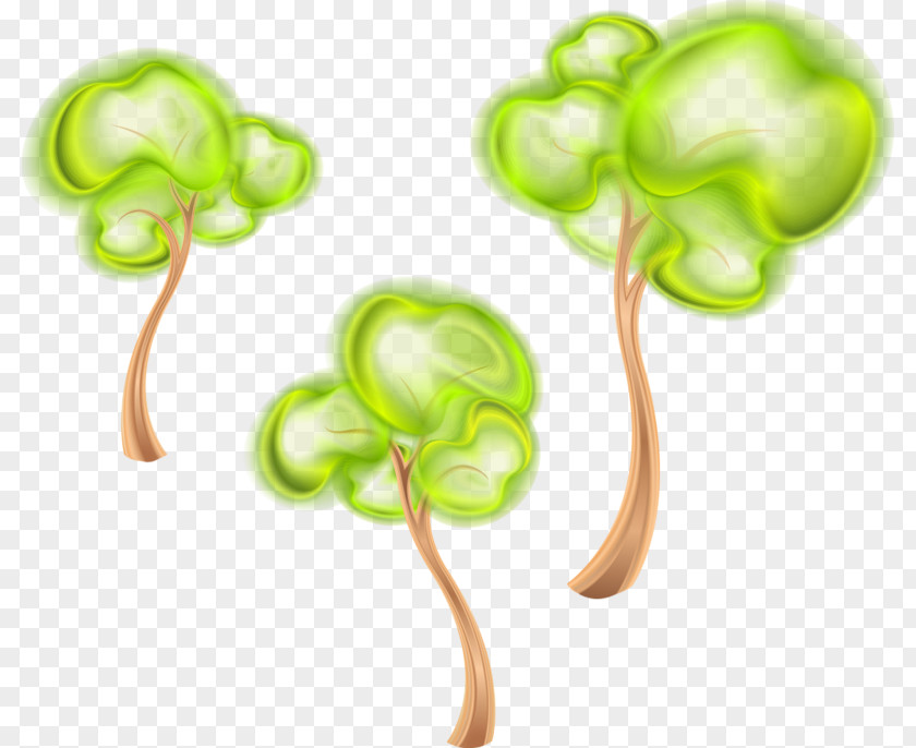 Drawing Clover Tree Green Illustration PNG