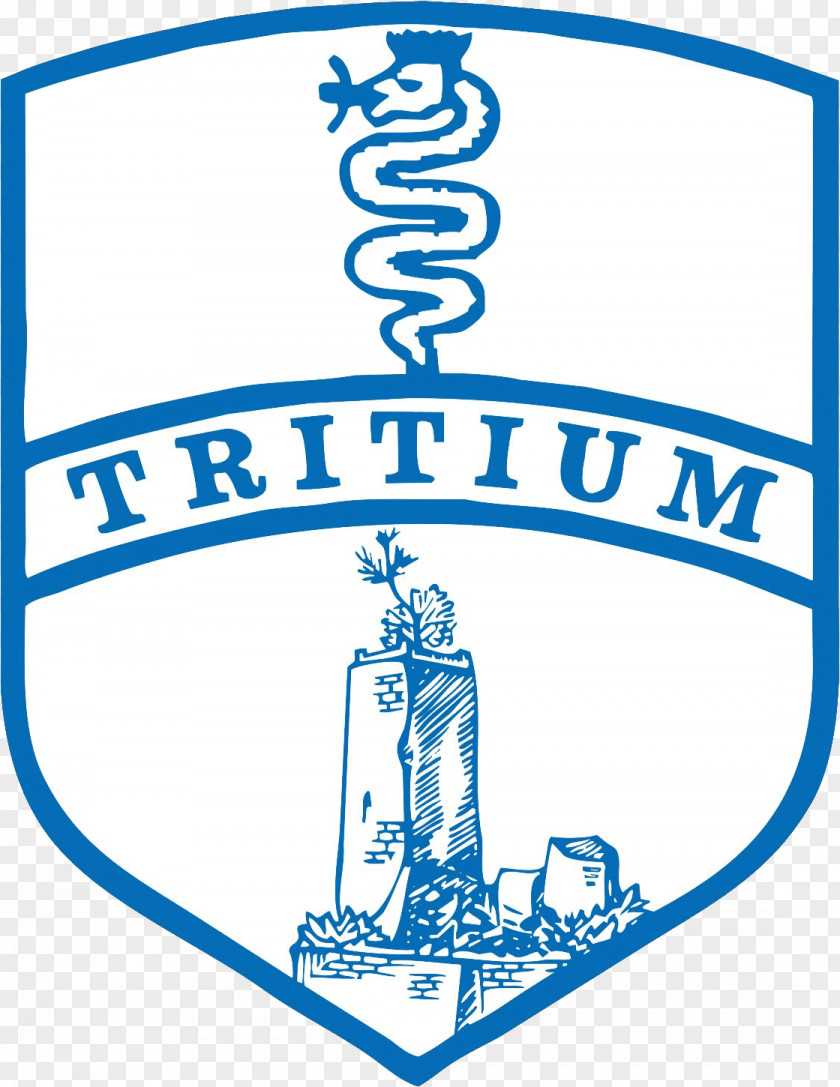 Football Tritium Calcio 1908 Trezzo Sull'Adda Aurora Pro Patria 1919 Coach PNG