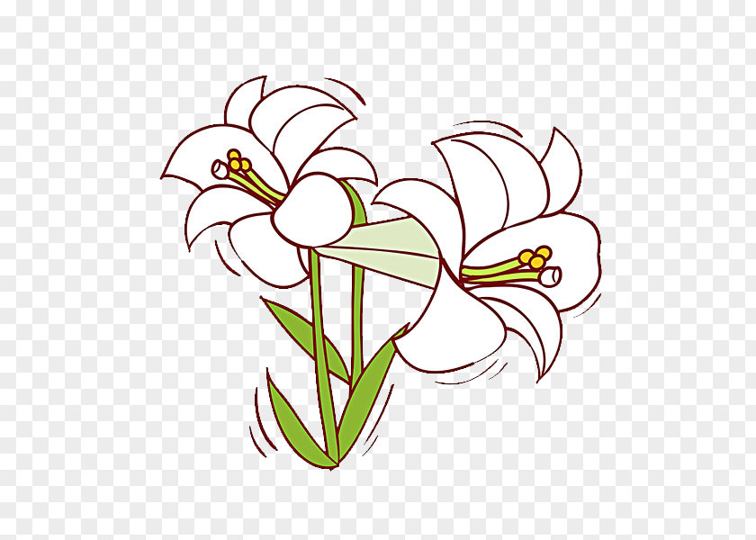 Hand-painted Lily Lilium Flower Floral Design PNG