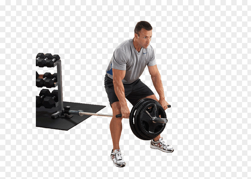 Barbell Bent-over Row Bench Exercise PNG