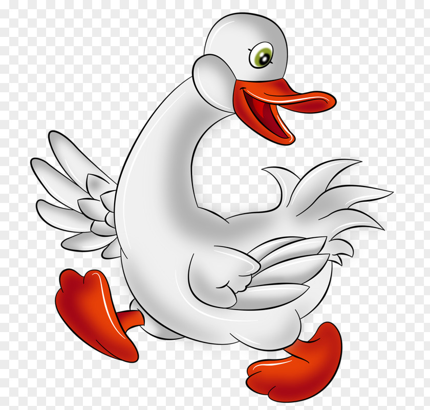 Hand-drawn Cartoon Big White Goose Domestic The Magic Swan Geese Gray Wolf Bird PNG