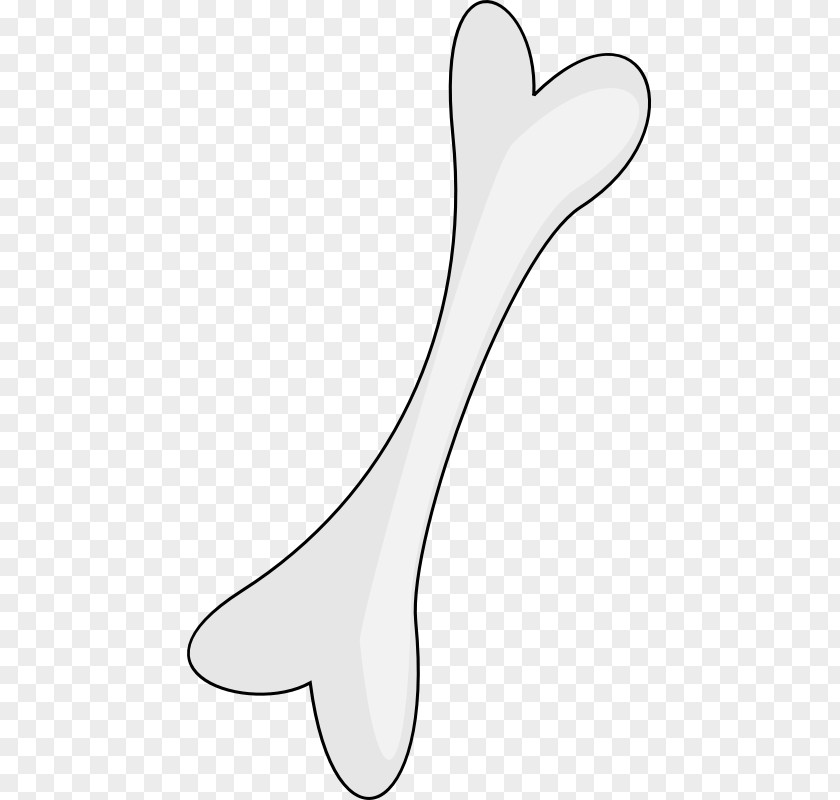 Line Clip Art PNG