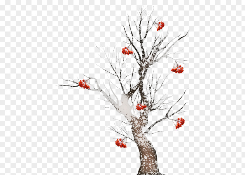 Tree Twig Pine Clip Art PNG