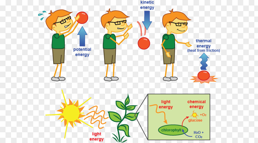 Various Seaweed Plants Clip Art Human Behavior Illustration Conversation Product PNG