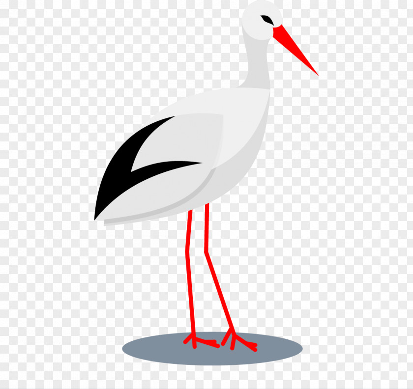 Vector Illustration Stork Bird Ciconia Beak Crane PNG