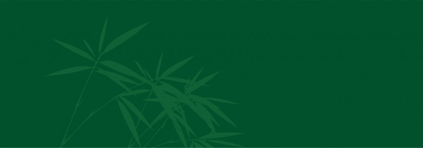 Bamboo Leaf Green Illustration PNG