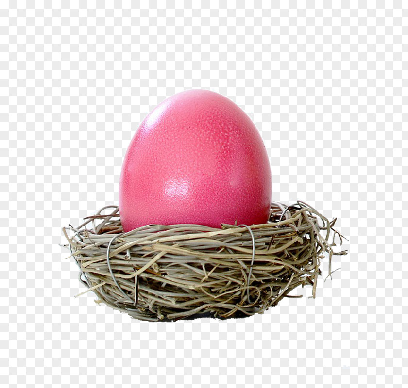 Bun Easter Egg Hot Cross Zante Currant Sultana PNG