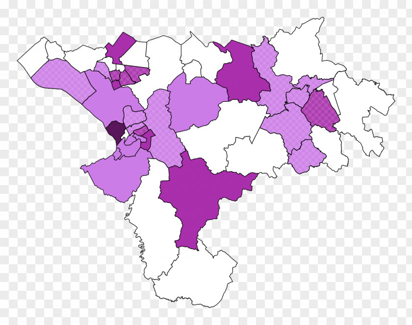 Cheshire West And Chester Council Election, 2015 Plurality-at-large Voting UK Independence Party PNG