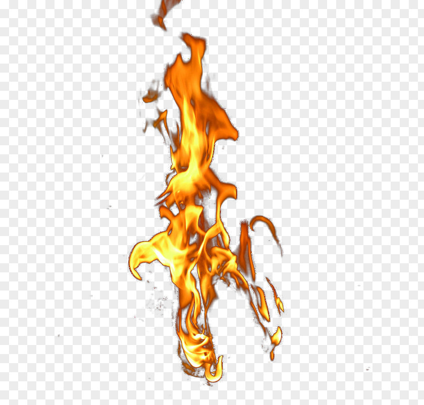 Flame Amazon.com Water Bottle Silicone Illustration PNG