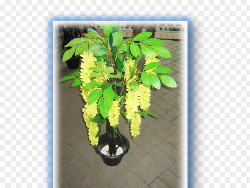 Flowwer Flowerpot Artificial Flower Discounts And Allowances Invention PNG