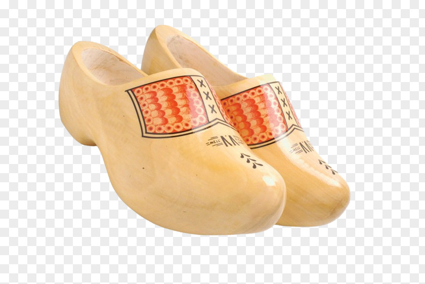 Invest Walking Shoe PNG