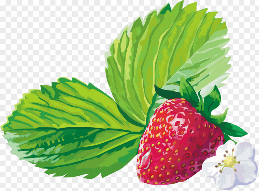 Strawberry Musk Raspberry Fruit PNG