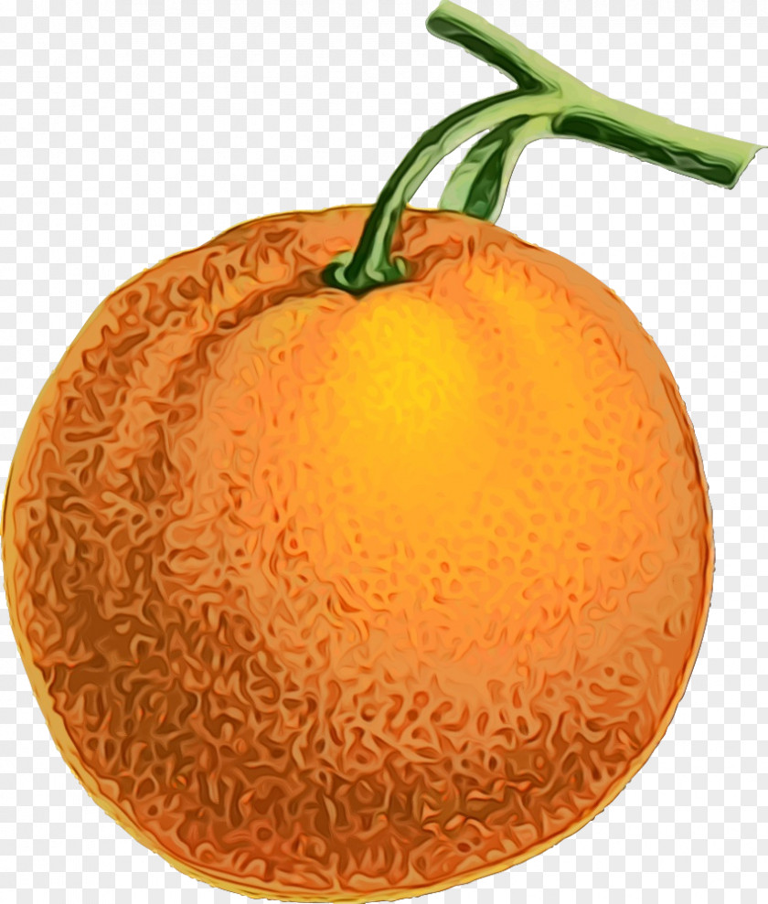 Vegetable Vegetarian Food Orange PNG