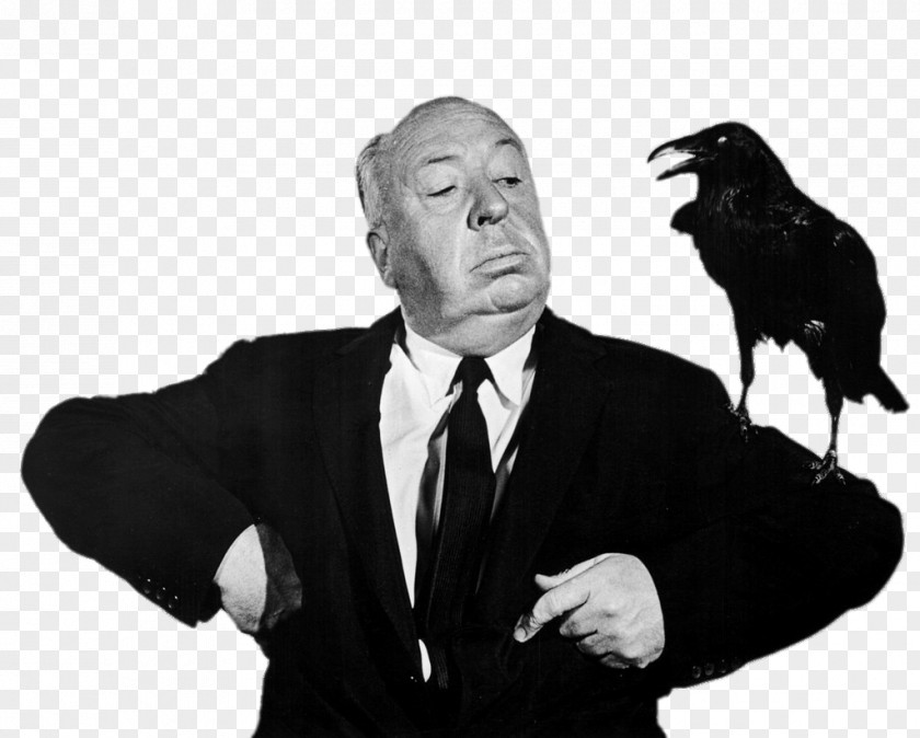 Alfred Hitchcock Filmography The Birds Film Director PNG