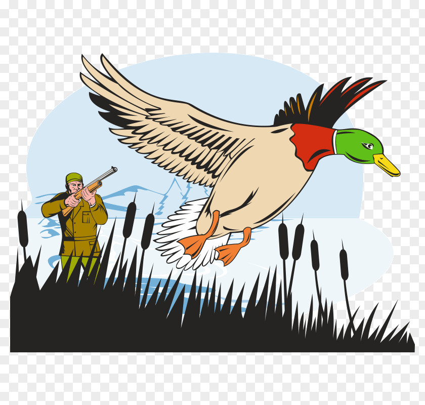 Duck Mallard Goose Hunting PNG