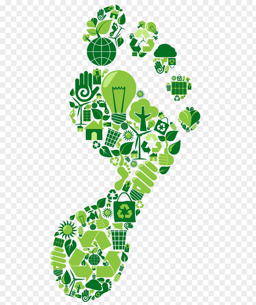 Footprints Carbon Footprint Sustainability Natural Environment Neutrality Ecological PNG