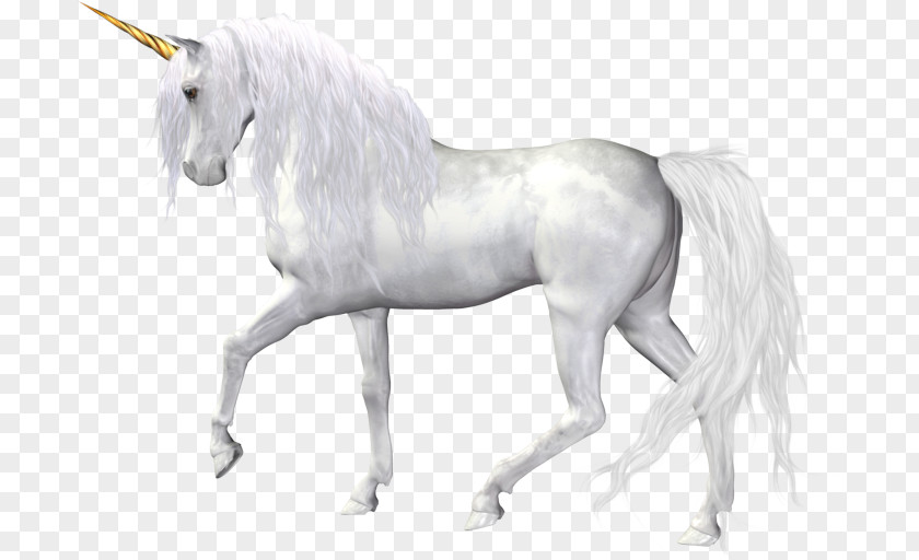Horse The Black Unicorn Clip Art PNG