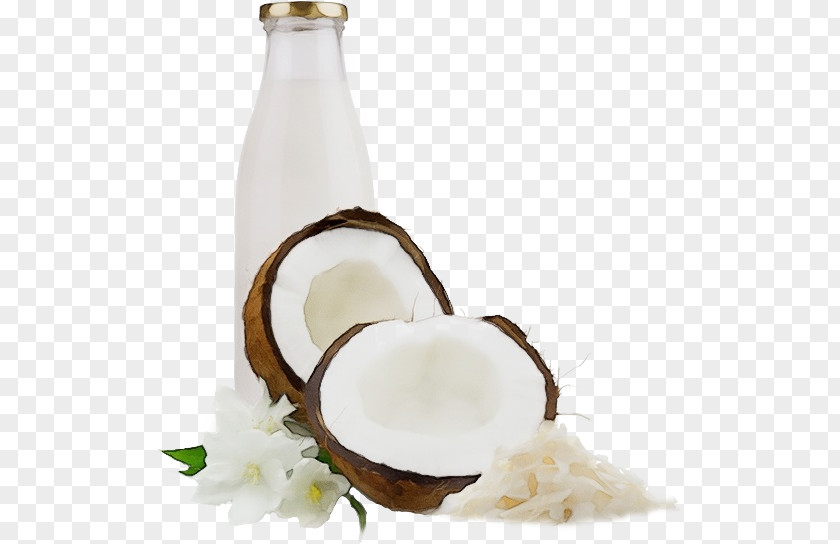 Ingredient Drink Dairy Food Plant Coconut Milk PNG