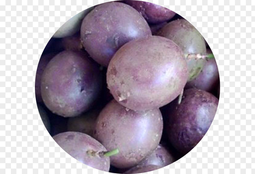 Potato Turnip Rutabaga Tuber Food PNG