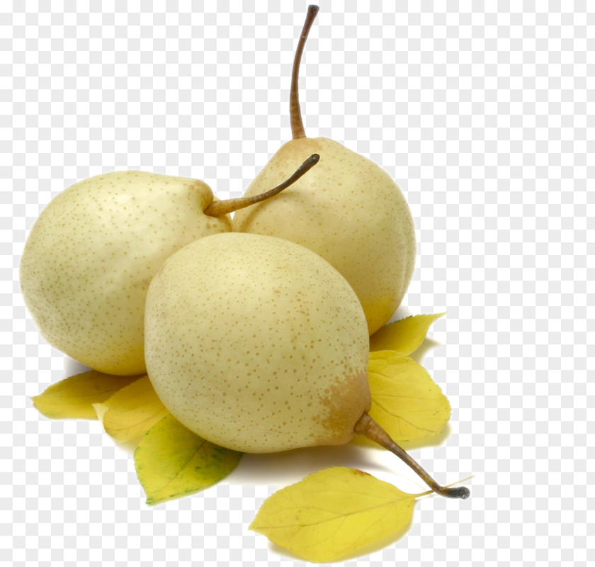 Sydney Frutti Di Bosco Asian Pear Fruit Apple Food PNG