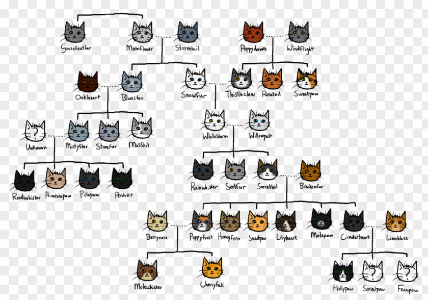 Dark Hut Warriors: The New Prophecy Firestar Family Tree PNG