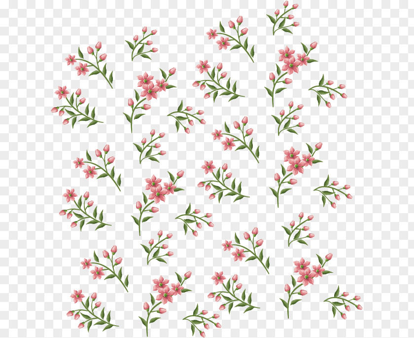 Floral Background Flower Petal PNG