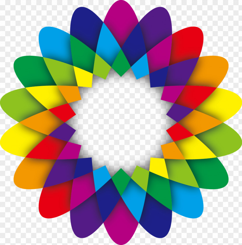Petal Color Ring Flower Geometry Euclidean Vector PNG