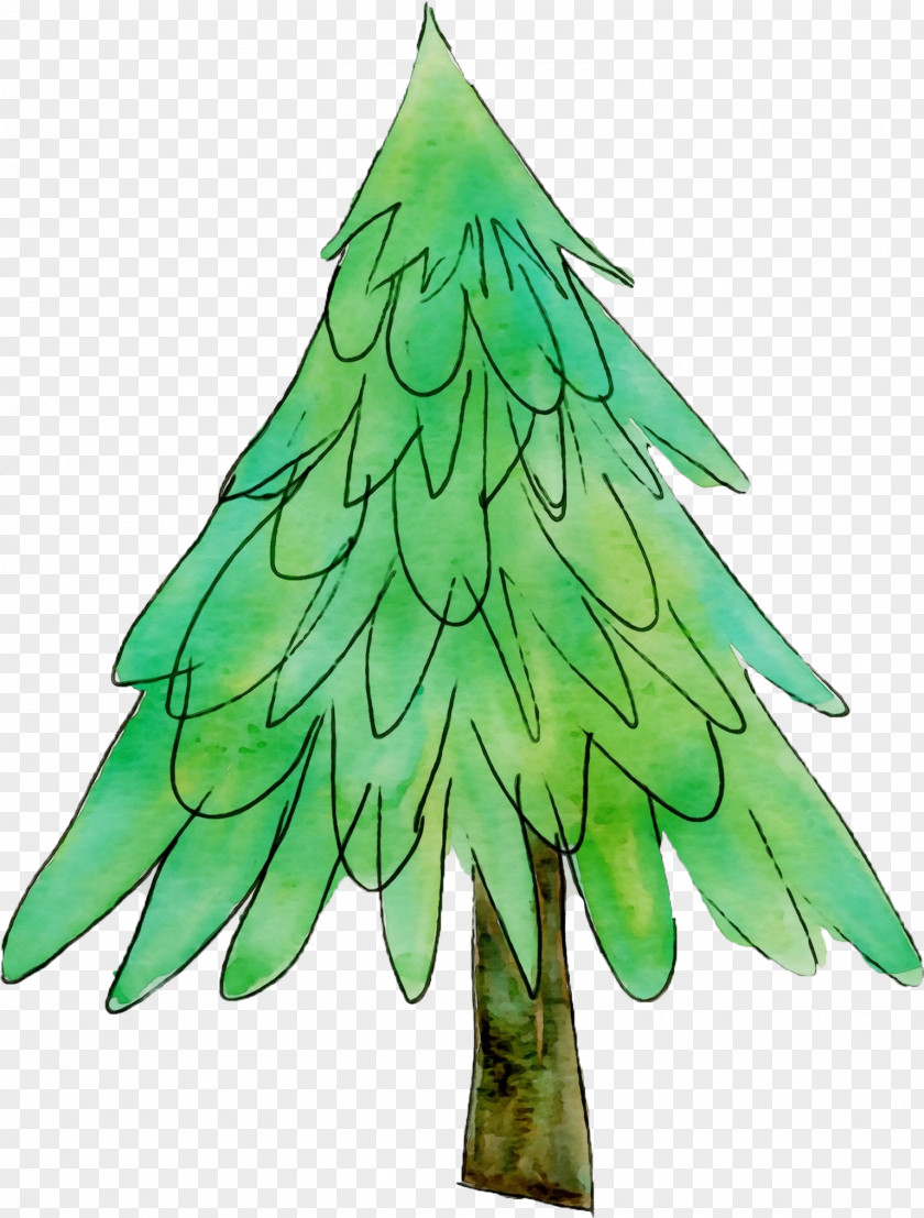 Evergreen Christmas Decoration Tree PNG