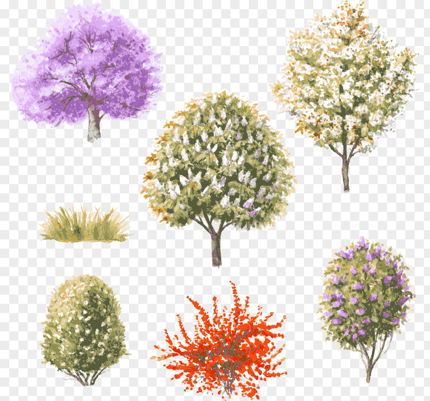 Hand-painted Watercolor Tree Vector Material PNG