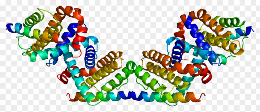 Mito Class BECN1 Protein Phosphoinositide 3-kinase Bcl-2 Gene PNG
