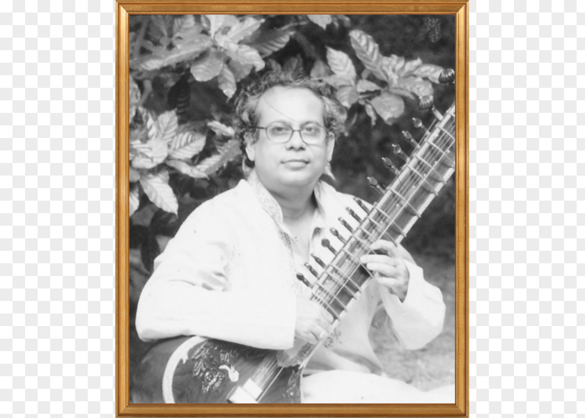Pandit Plucked String Instrument Sitar Photography Picture Frames PNG