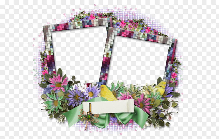 Pin Floral Design Picture Frames PNG