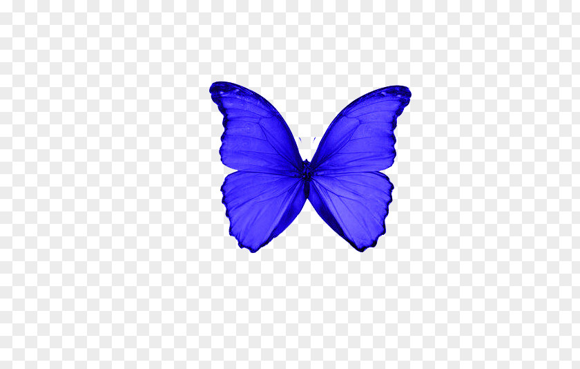 Violet Blue Butterfly Inkjet Paper Laser Printing Letter And Writing PNG