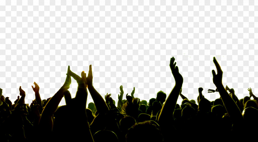 Concert Music Festival Art Musician PNG festival Musician, crowd, crowd raising their hands clipart PNG