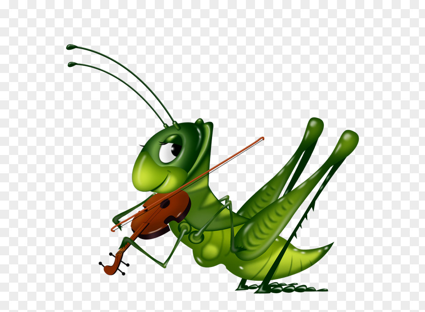 Playing A Violin Painted Locusts Insect Bee Drawing Clip Art PNG