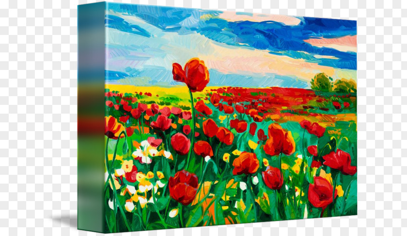 Poppy Field Common Painting Tulip PNG