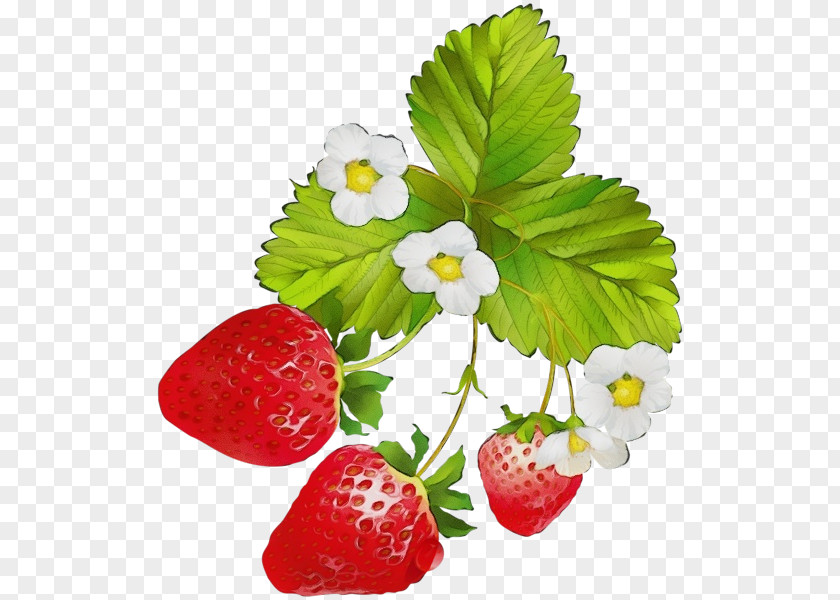 Strawberry PNG