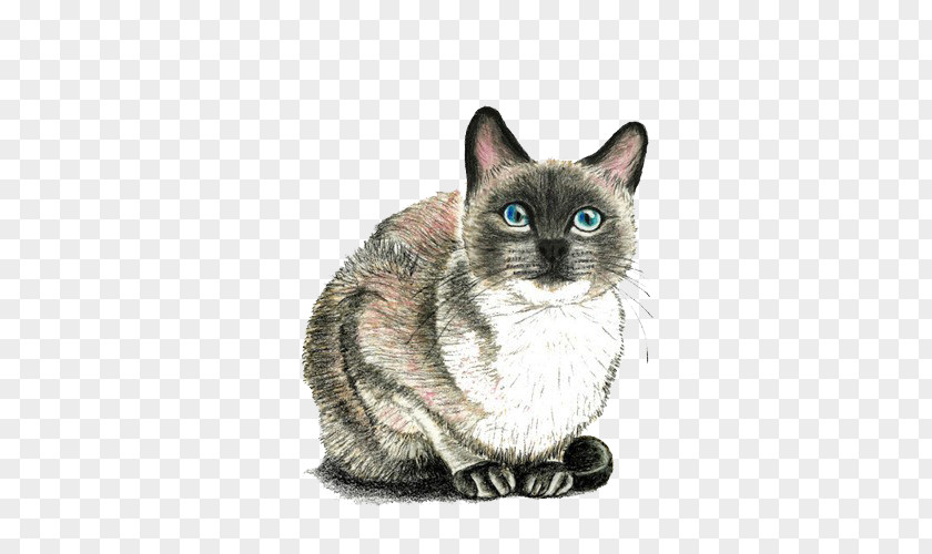 Side Bar Cat Kitten Drawing Mouse PNG