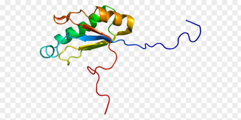 Transcription HTATSF1 Gene HIV Tat Nucleic Acid Sequence Protein PNG