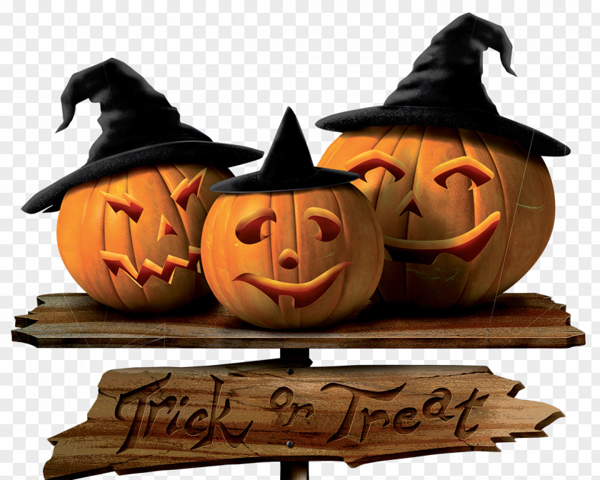 Trick Or Treat Sign With Pumpkins Picture Halloween Costume Trick-or-treating Party Clip Art PNG
