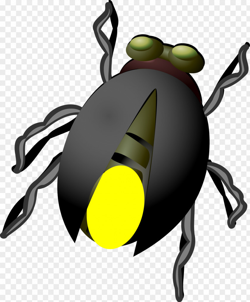 Vector Firefly Download Clip Art PNG