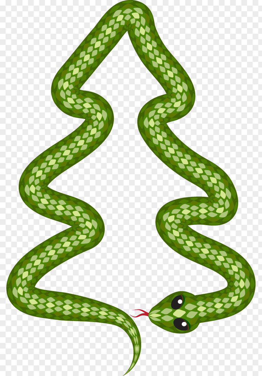 Vector Painted Snake Illustration PNG