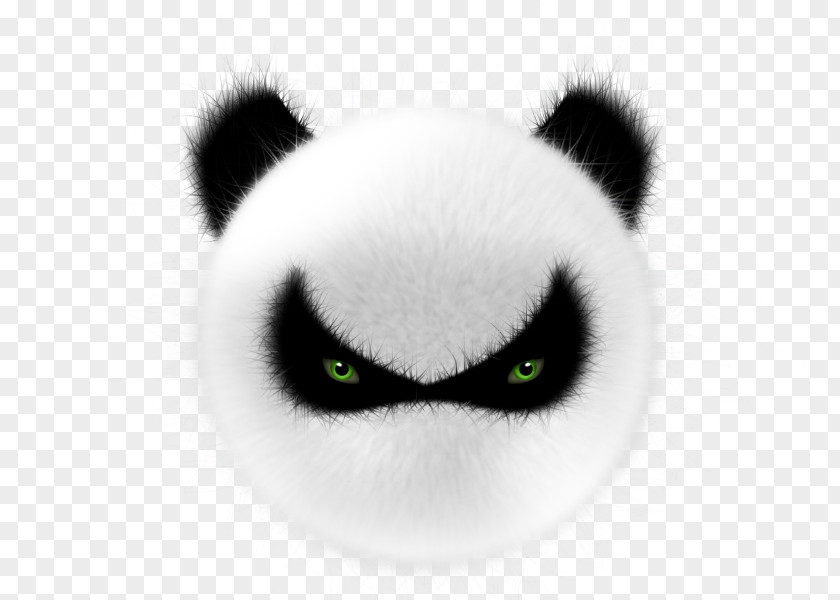 Angry Panda Giant Animation Illustration PNG