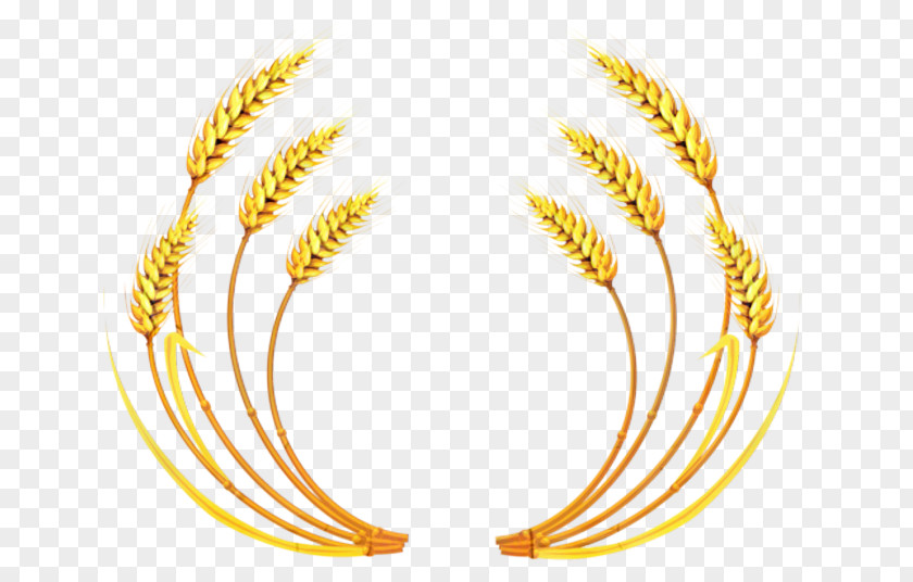 Body Jewelry Jewellery Wheat Cartoon PNG