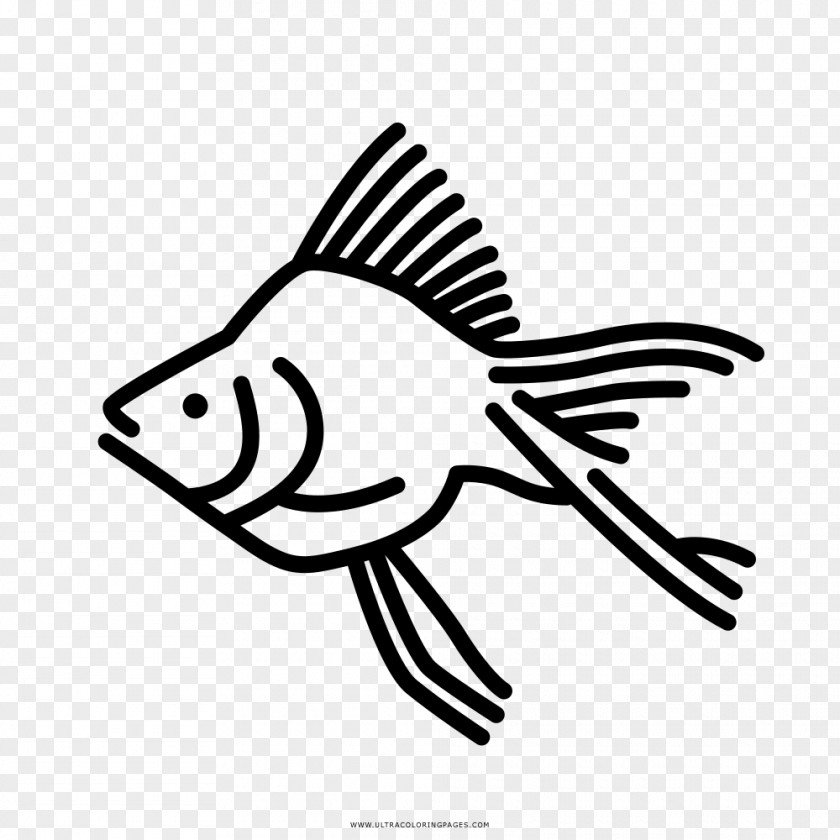 Fish Goldfish Coloring Book Drawing Aquarium PNG