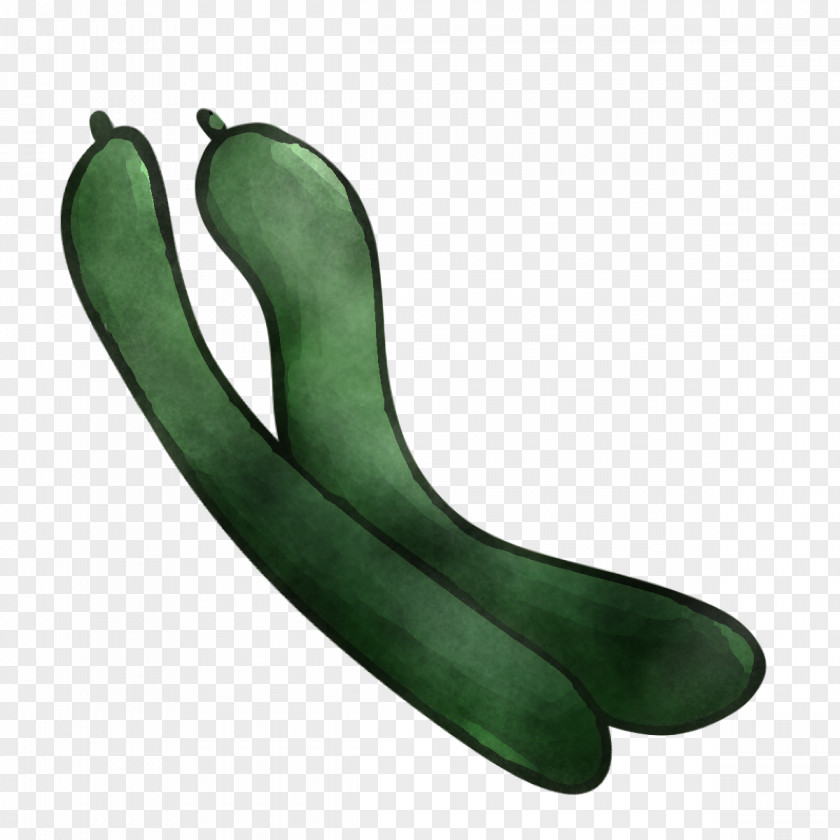 Fresh Vegetable PNG