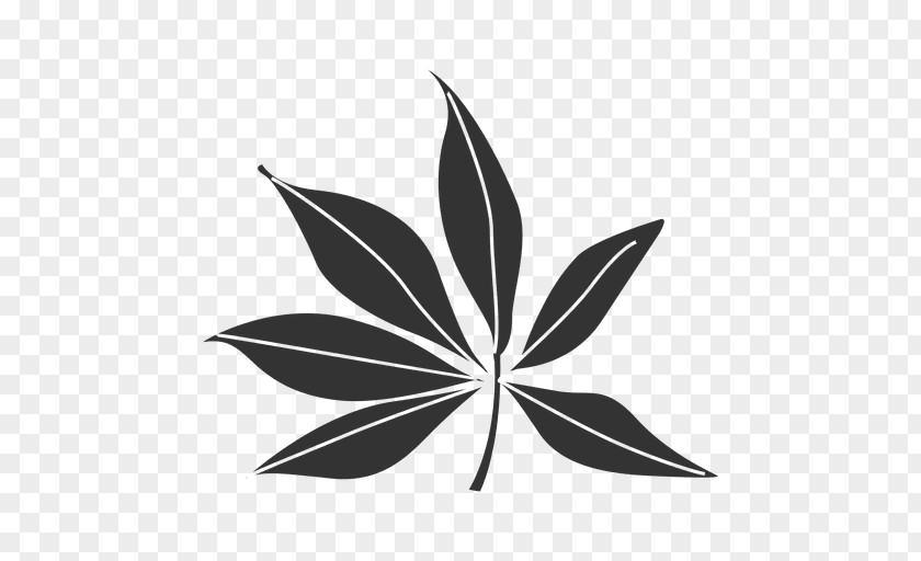Leaf Black And White PNG