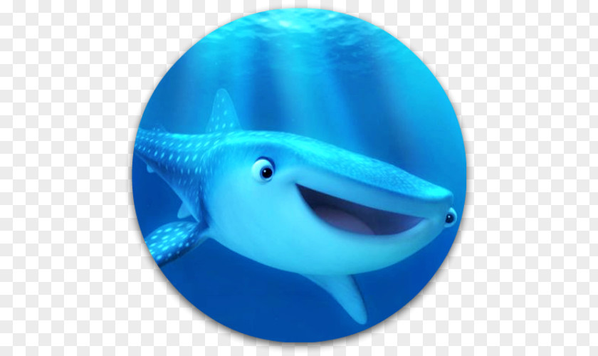 Pixar Marine Mammal Biology Whale PNG